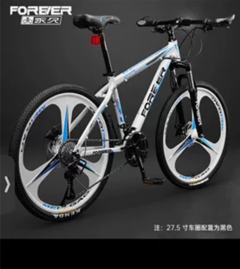 永久自行车 白蓝色 钢架 骑了一次没时间...