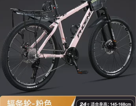 【新风潮价】凤凰山地自行车男女成人学生青少...