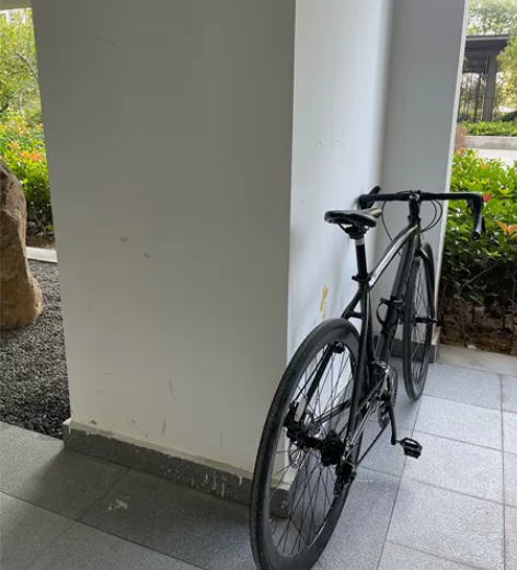 菲利普公路自行车 还是挺好骑的(邮费对半)...