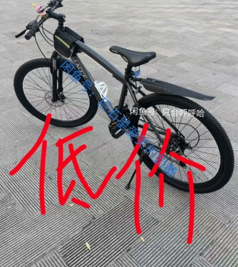 搬家了，这个单车是朋友买来给我的，但带不走...