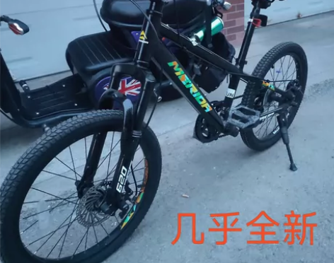 9.8新美利达，儿童车，达卡620 rac...