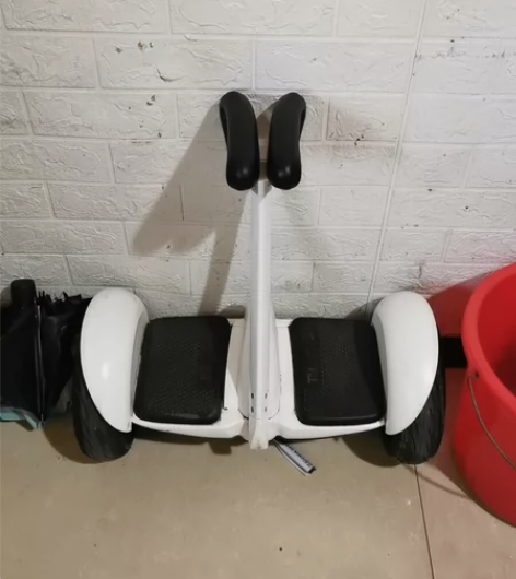 小米 9号平衡车，要搬家了，带不回去，只能...