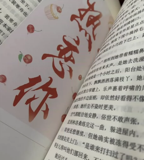 热恋你小说 正版全新仅拆 娱乐圈先婚后爱...