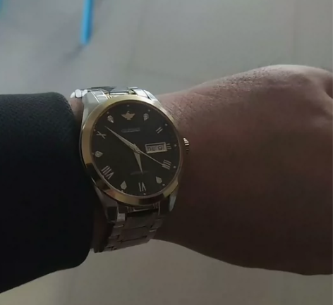 瑞士欧品客品牌正品进口机芯手表男士商务机械...