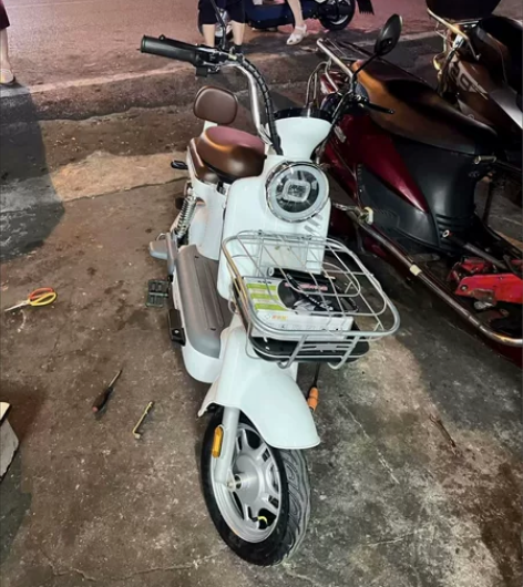 飞鸽电动车，全新，48v12a，带电池+充...