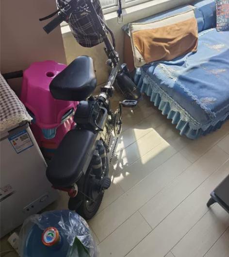 飞鸽电动自行车，买来没怎么骑，电池能跑20...
