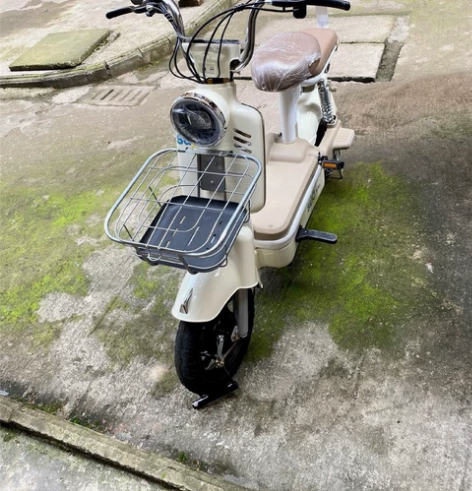 低价处理，飞鸽电动车，全新，48v12a，...