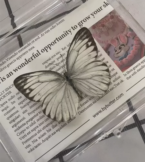 青园粉蝶 一图一物 三十包邮 免费送亚克力...