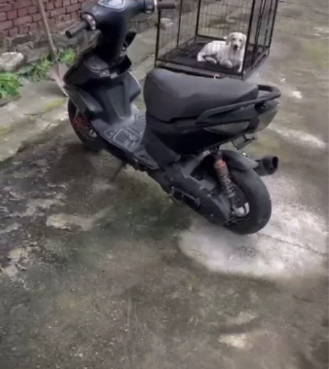 雅马哈飞鹰爆改大拧油五六半套 感兴趣的话点...