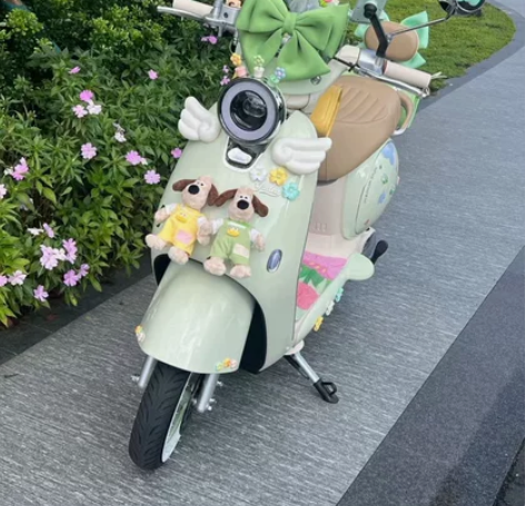 杭州同城转手新国标二手电瓶车，车子带黄牌正...