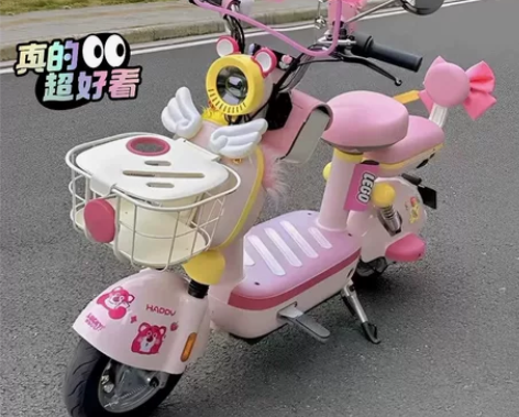 【全国包邮】【急售,包邮特价甩卖】新国标电...