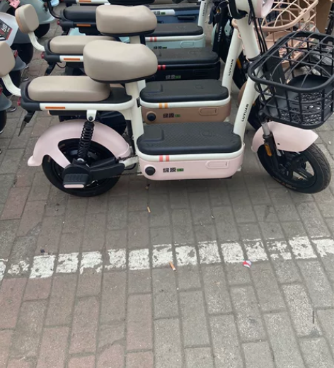 绿源电动车 48V20A 电机、车架保十年...