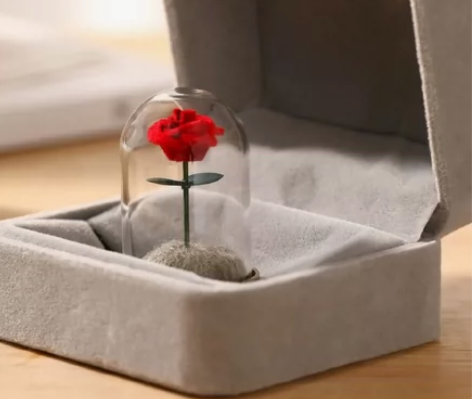 「出」光遇周边小王子的永生玫瑰花束玻璃罩系...