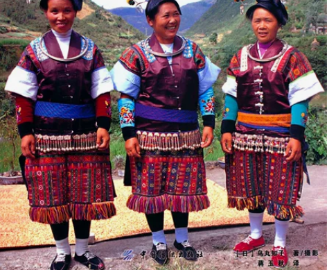 一针一线  贵州苗族服饰手工艺 非纸版简介...