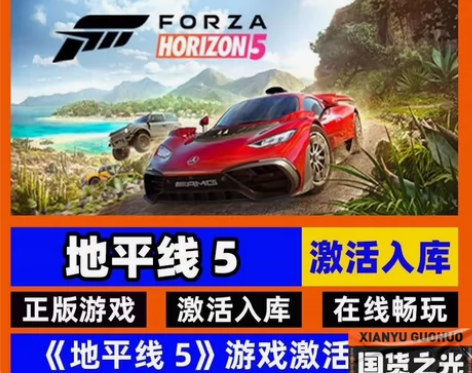 地平线5steam正版入库 非离线！一分钱...