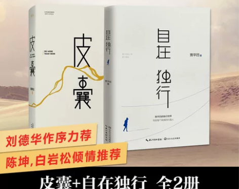 《皮囊》蔡崇达著 青春文学励志名家经典作品...