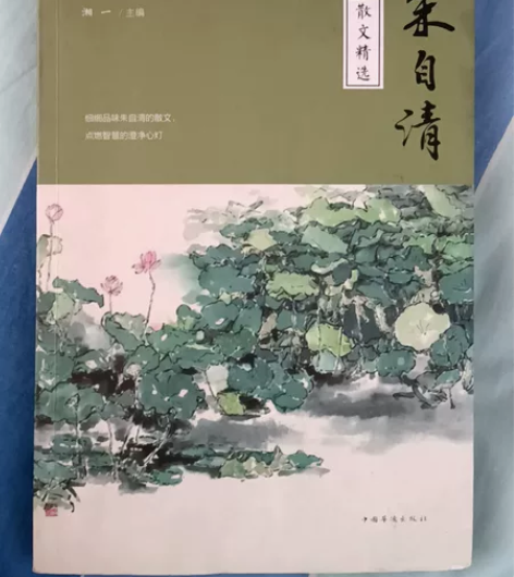 朱 自 清散文精选（32开平装） 感兴趣的...