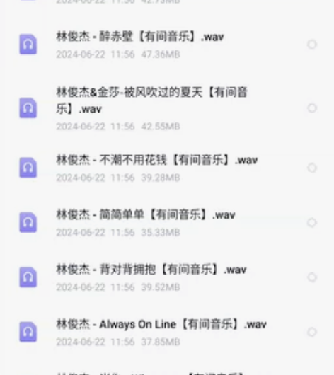 （音质非常好）无损音乐全集 DSD/DFF...