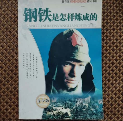 世界名著～《钢铁是怎样炼成的》 人民日报出...