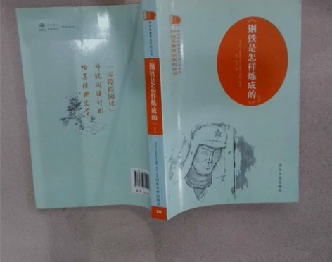 正版二手 钢铁是怎样炼成的 桑田 河北大学...