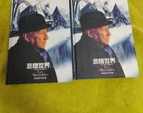 正版二手悲惨世界（上下）作者: 	雨果 著...