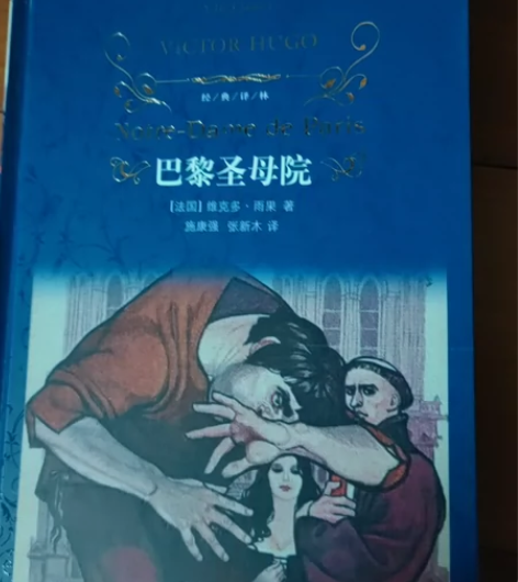 维克多.雨果，巴黎圣母院(精)经典译林-巴...