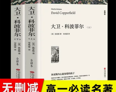 书籍:大卫.科波菲尔（无删减全两册1072...
