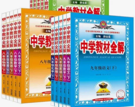 薛金星教材全解人教版华师版鲁教版浙教版北师...