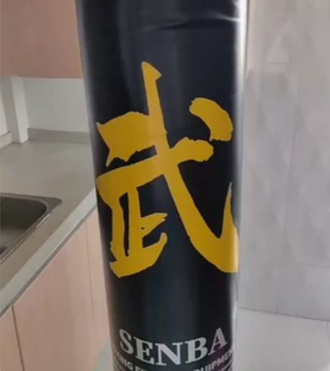 拳击袋原价200多的用了没多久，喜欢是可以...