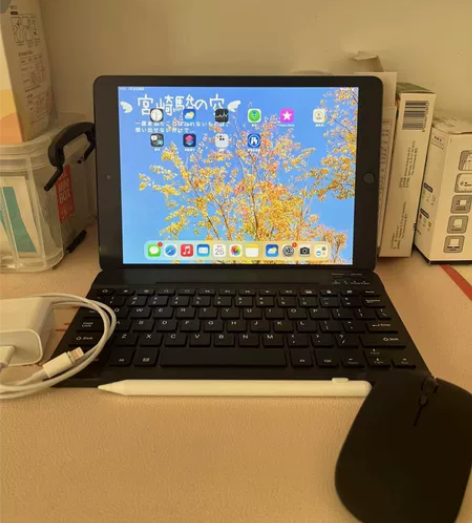 女生自用闲置ipad2021款第9代插卡版...