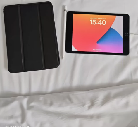 ?个人闲置ipad mini2019，25...