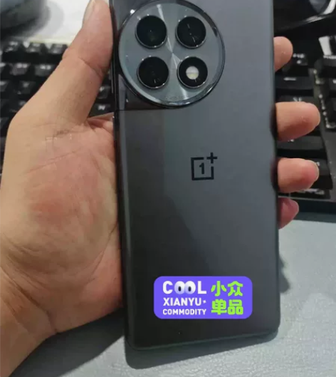 一加Ace 2 Pro 电竞5G手机 第二...