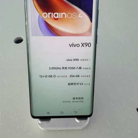 型号：VIVOx90 配置：12+256 ...