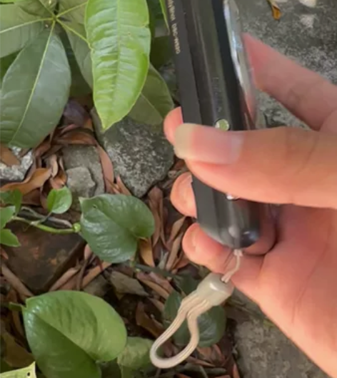 索尼w520 成色如图 功能正常 屏幕轻微...