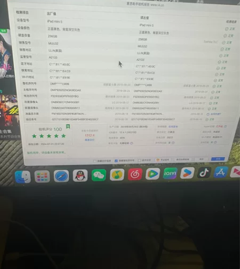 ipadmini5出厂12系统256g，电...