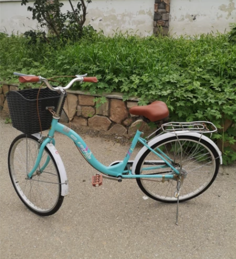 ?上海凤凰自行车女款山地车男变速越野单车青...