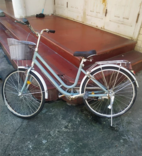 #户外骑行必备 凤凰丹顶鹤通勤车，消光灰色...