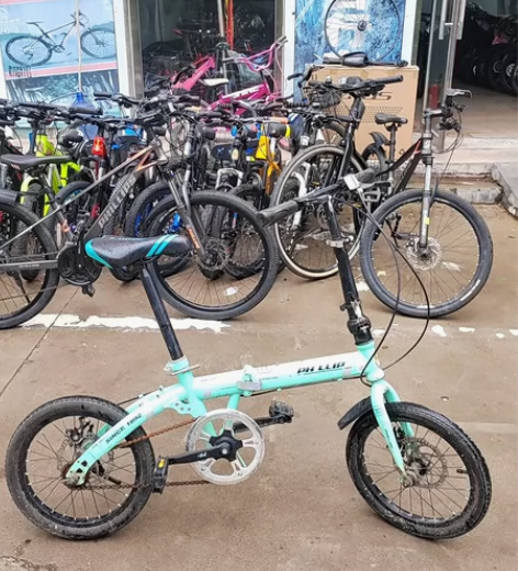 英国兰令菲利普14寸单速折叠车 前后碟刹可...