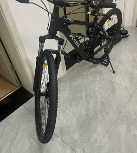 喜德盛350，线下1199购买，有水壶尾灯...