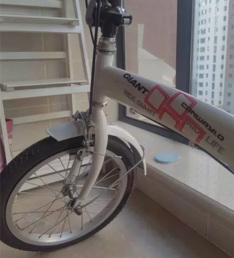 捷安特折叠自行车 只骑过几次，不在呼市工作...