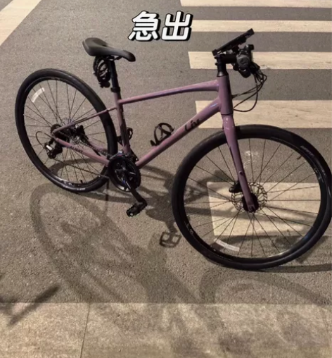 【本人急出】捷安特Liv公路车乌梅子酱（a...