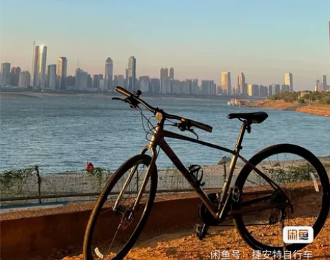 100%好评率【全新】捷安特公路车逃脱二e...