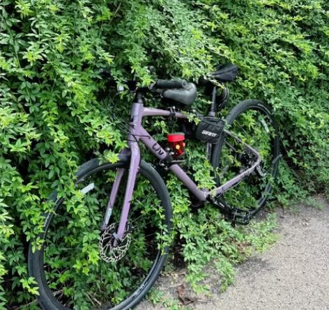 【全新当二手卖】捷安特Liv公路车 乌梅子...