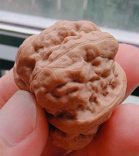 38的肌肉蛙蛙，蛤蟆头开背蛙蛙，38的，小...