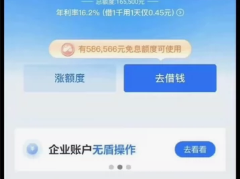 2024网商贷花呗通用额度开通纯技术 黑白...