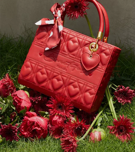 纽芝兰戴妃包包2024新手提包大容量单肩斜...