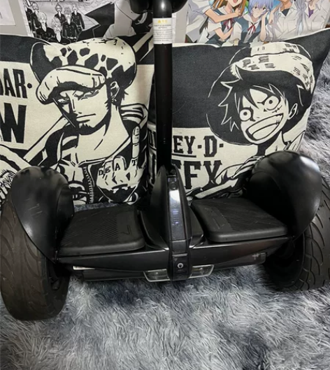 迷你9号平衡车 带原装充电器 功能完好 轻...