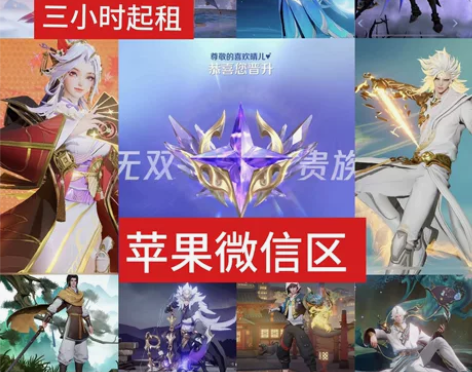 苹果ios 微区 553皮  高质量皮肤『...