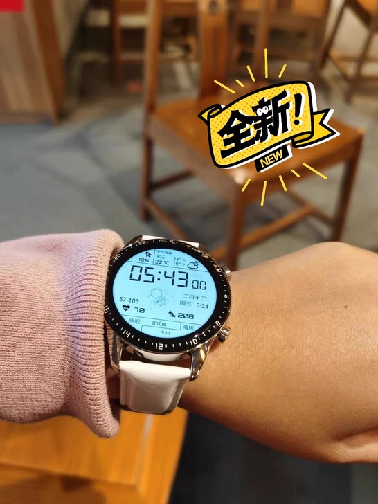 华强北 GT2华为同款外观全新支付宝版L1...