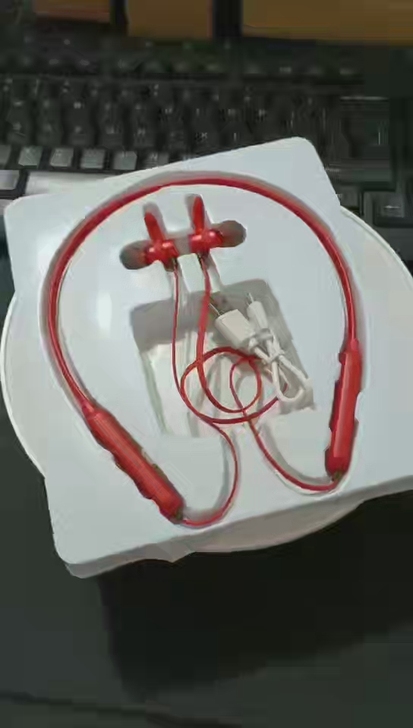 运动蓝牙耳机 就一个 红色 大马下架产品 ...